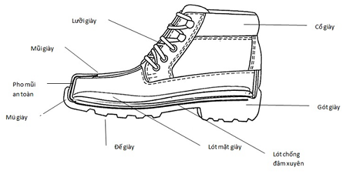 cau-tao-giay-bao-ho