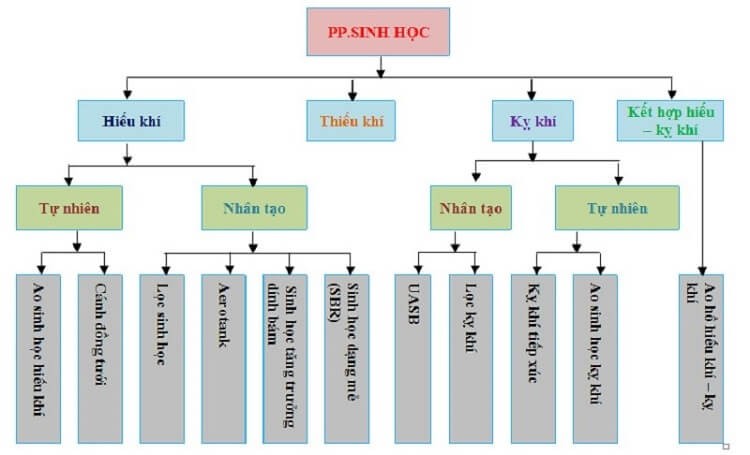 cong-nghe-sinh-hoc-xu-ly-nuoc-thai