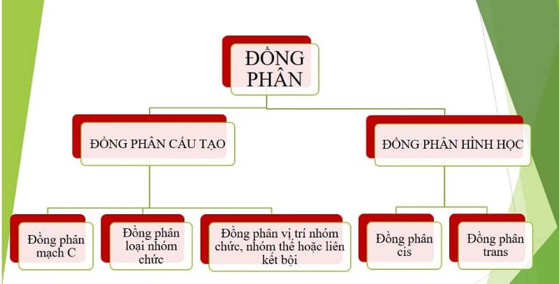 dong-phan-la-gi-2