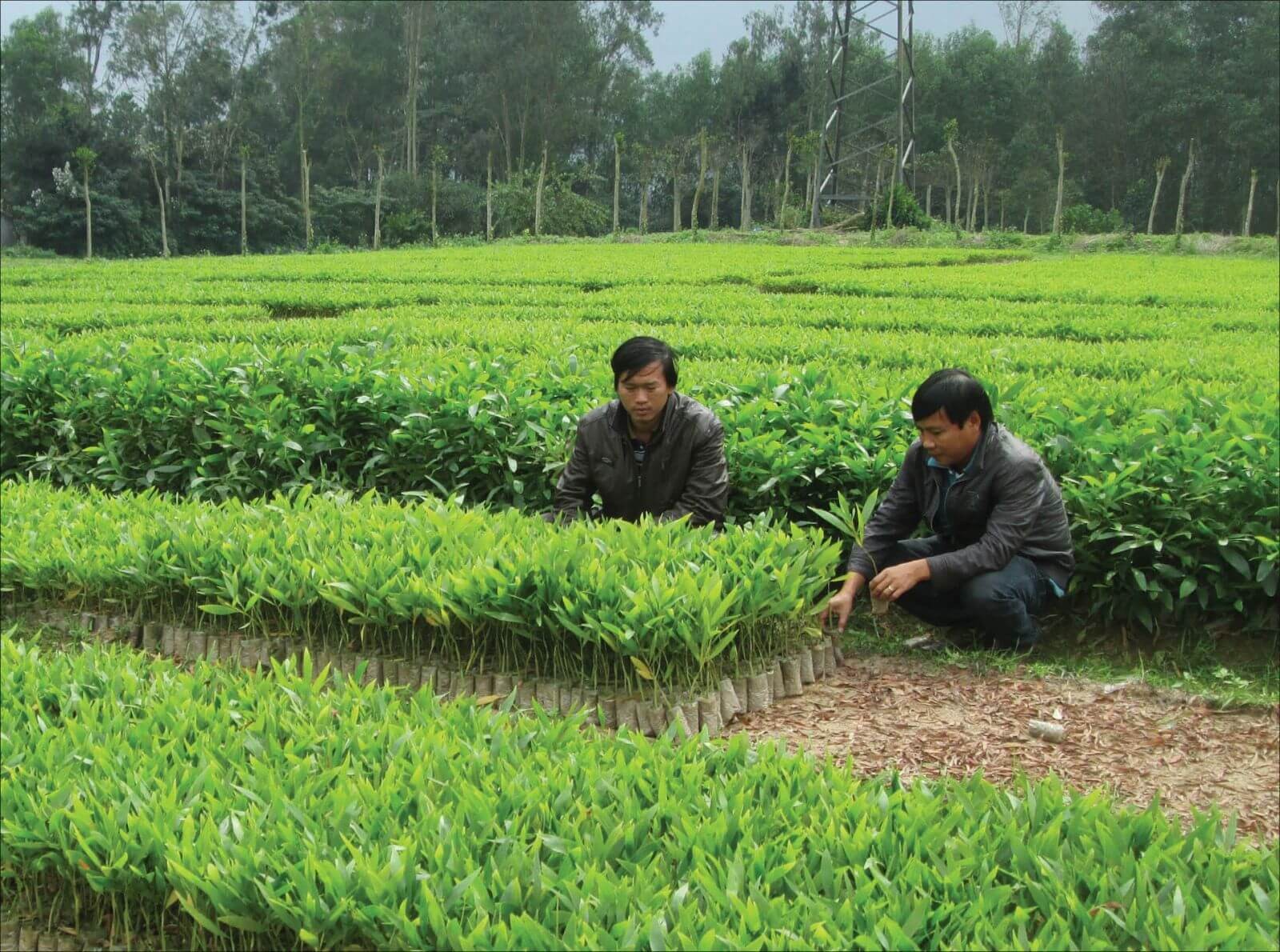 Sử dụng hợp lý và tiết kiệm nguồn tài nguyên thiên nhiên