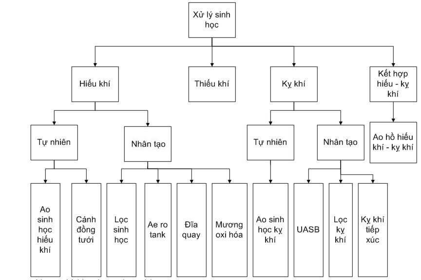 Hình ảnh phương pháp sinh học dùng trong xử lý NO2 