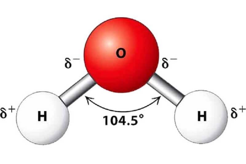 phan-tu-la-gi-4